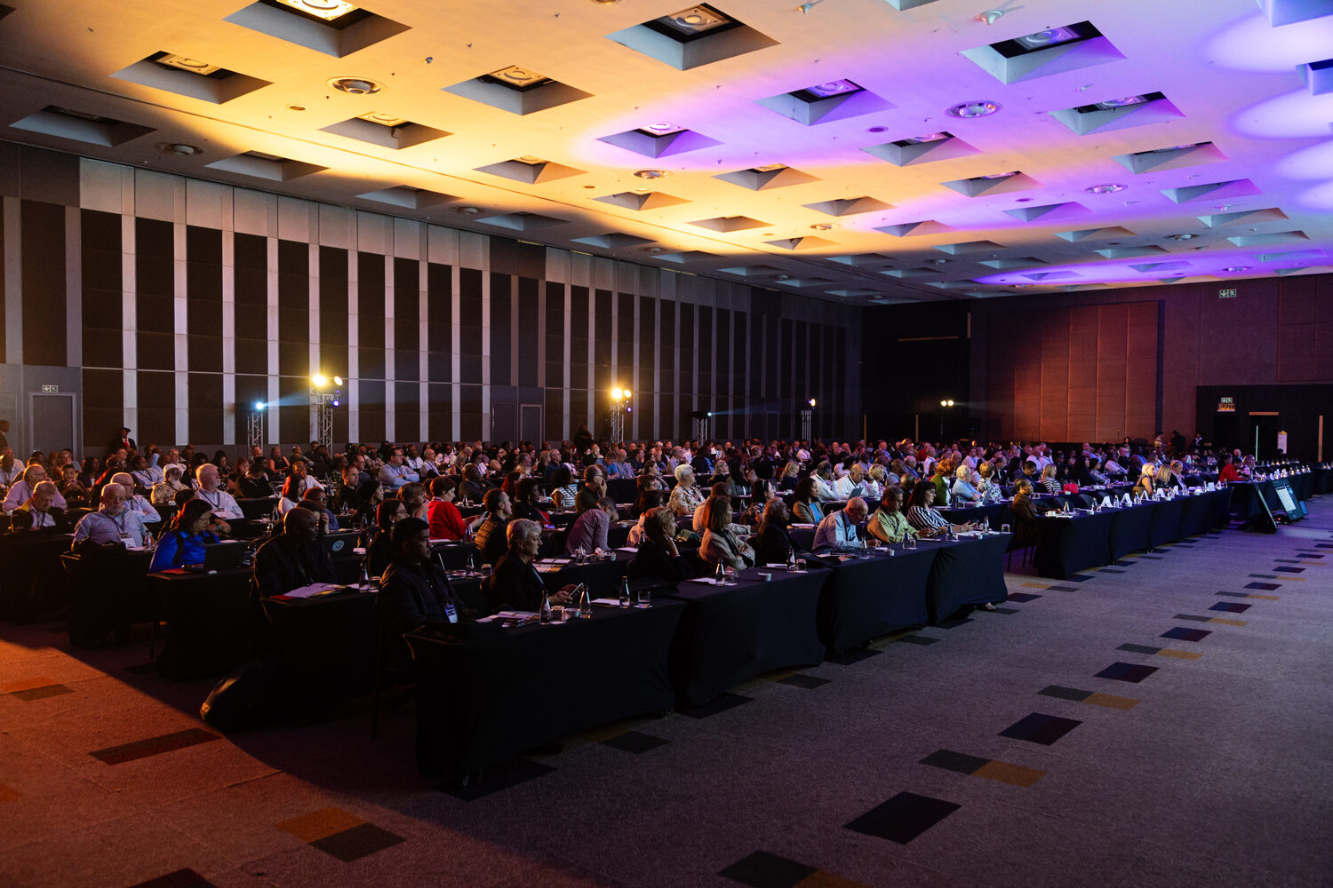 Delegates seated in the conference venue