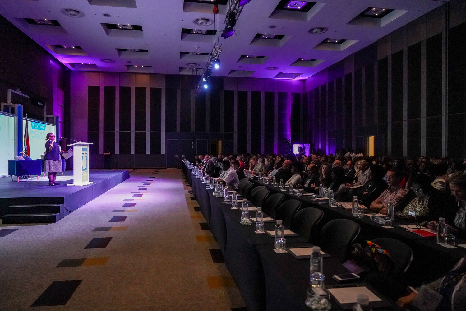 Delegates seated during a plenary session
